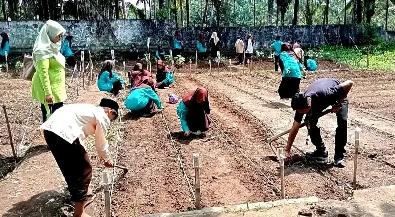 pelajar-smpn-2-enam-lingkung-praktik-kurikulum-merdeka-dengan-ladang-palawija