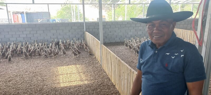 wakil-ketua-dprd-sawahlunto-jaswandi-buka-lapangan-kerja-lewat-peternakan-itik
