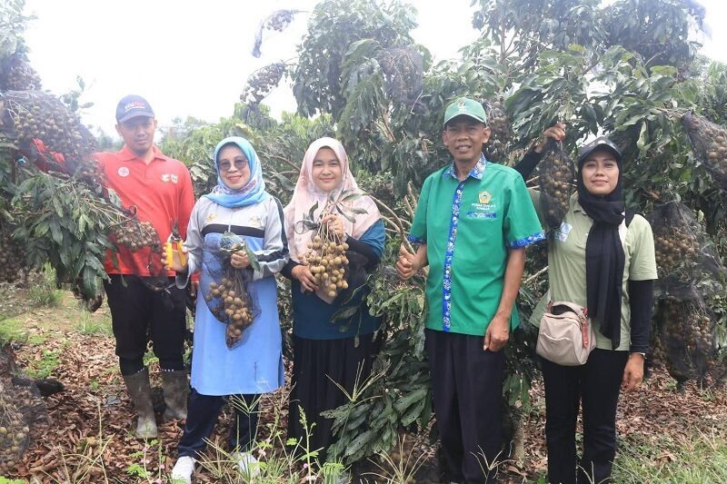 nagari-kurnia-selatan-dharmasraya-jaga-ketahanan-pangan