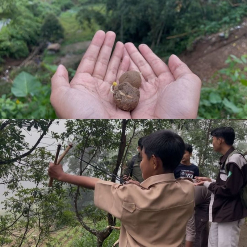 bantu-pulihkan-hutan-gundul,-tim-riset-khs-unp-sebar-bola-benih-di-kawasan-terdampak-bencana