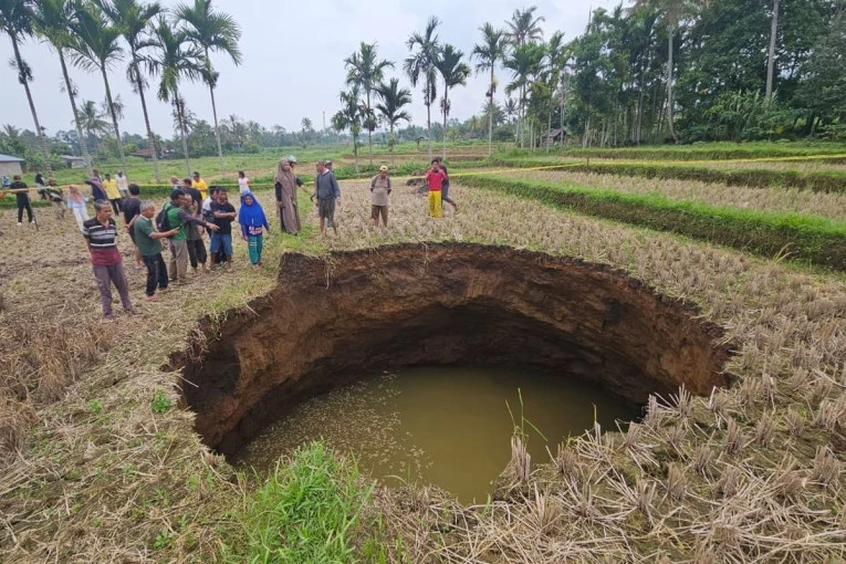 Sinkhole di kawasan persawahan Jorong Tepi, Nagari Situjuah Batua, Kabupaten Lima Puluh Kota, Sumatera Barat.