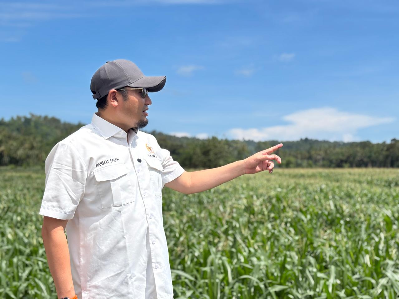 rahmat-saleh-targetkan-lahan-jagung-sumbar-tembus-4.000-ha-pada-2026