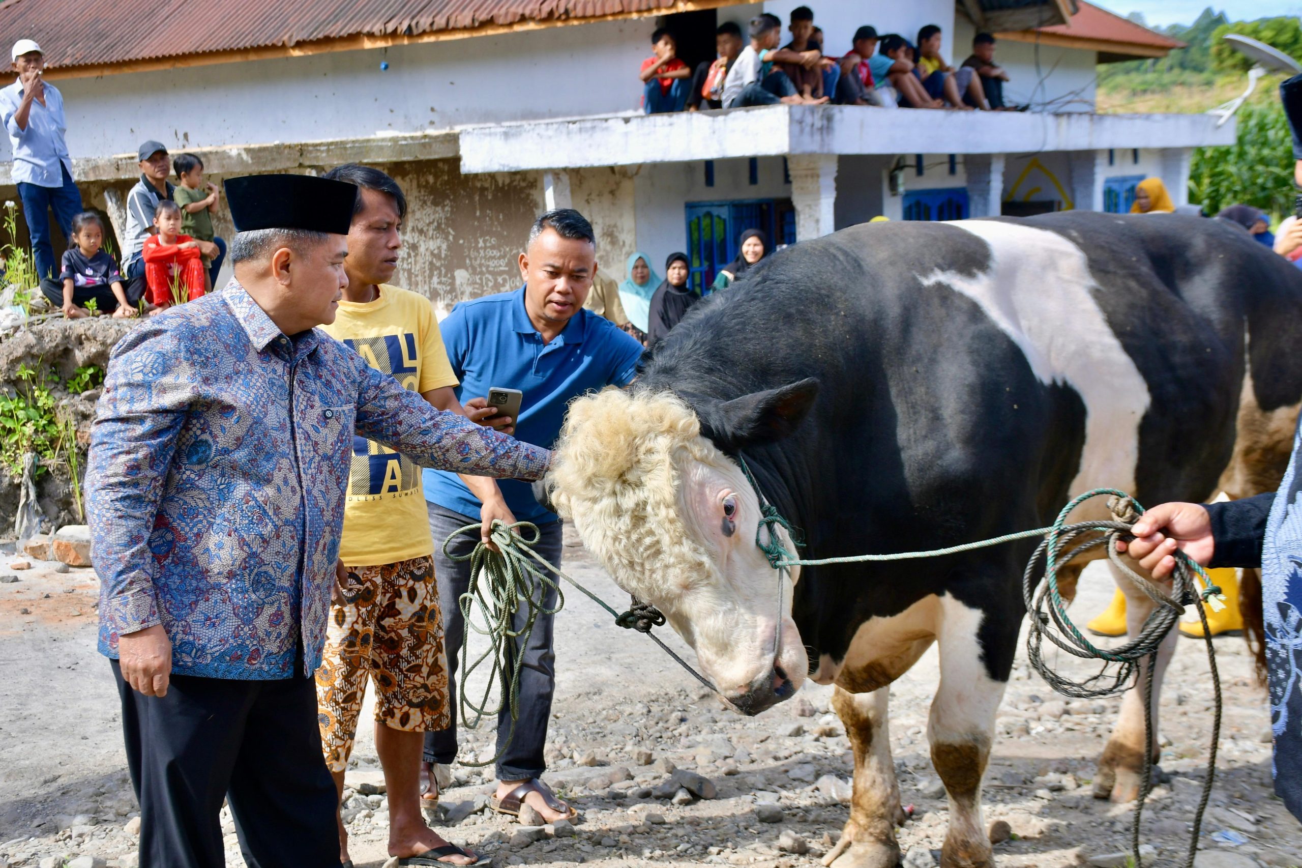 bupati-agam-hadiri-penyembelihan-hewan-qurban-bantuan-presiden-prabowo-di-malalak