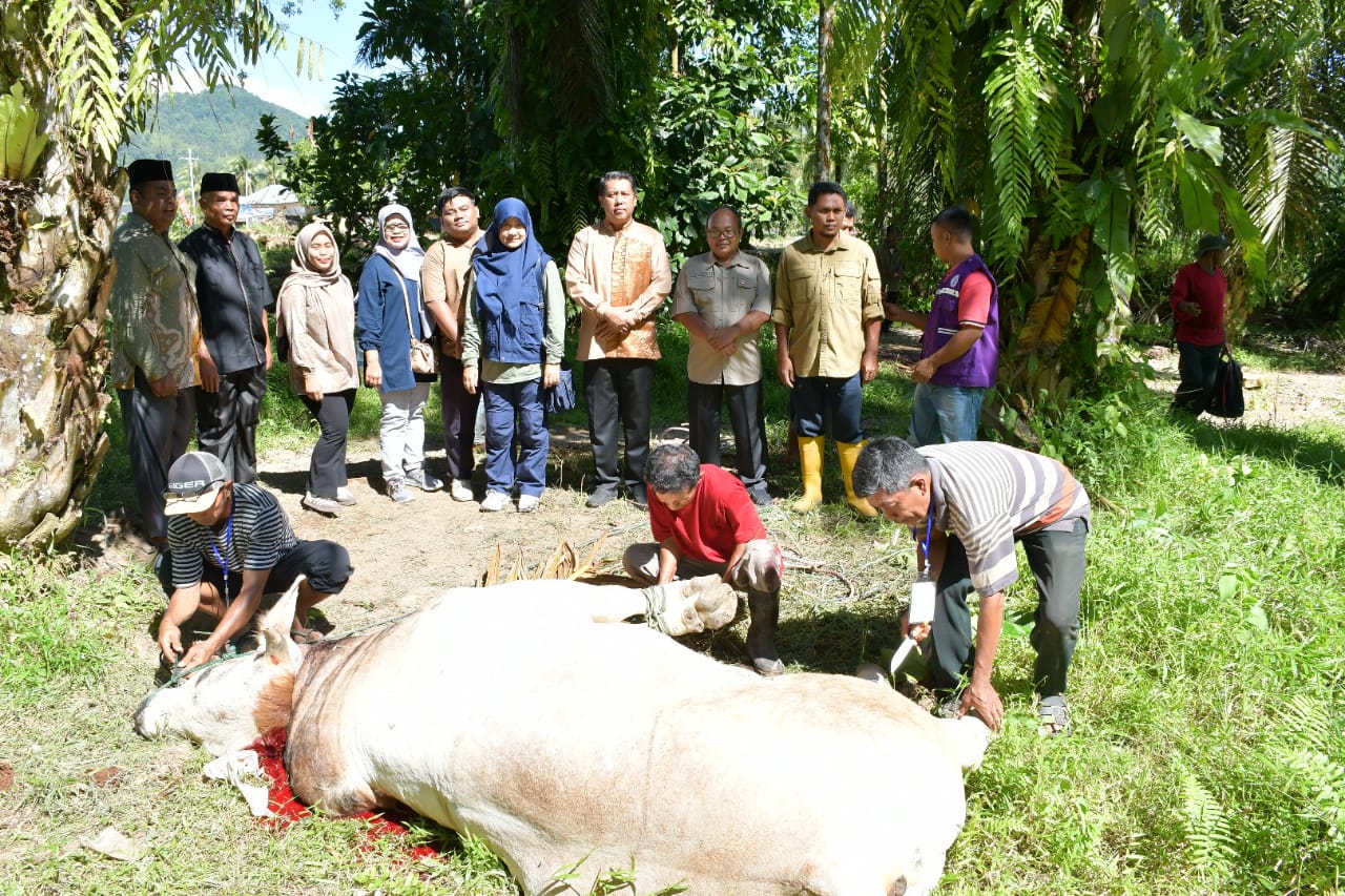 sekda-agam-hadiri-pemotongan-hewan-kurban-bantuan-wapres-ri-di-palembayan