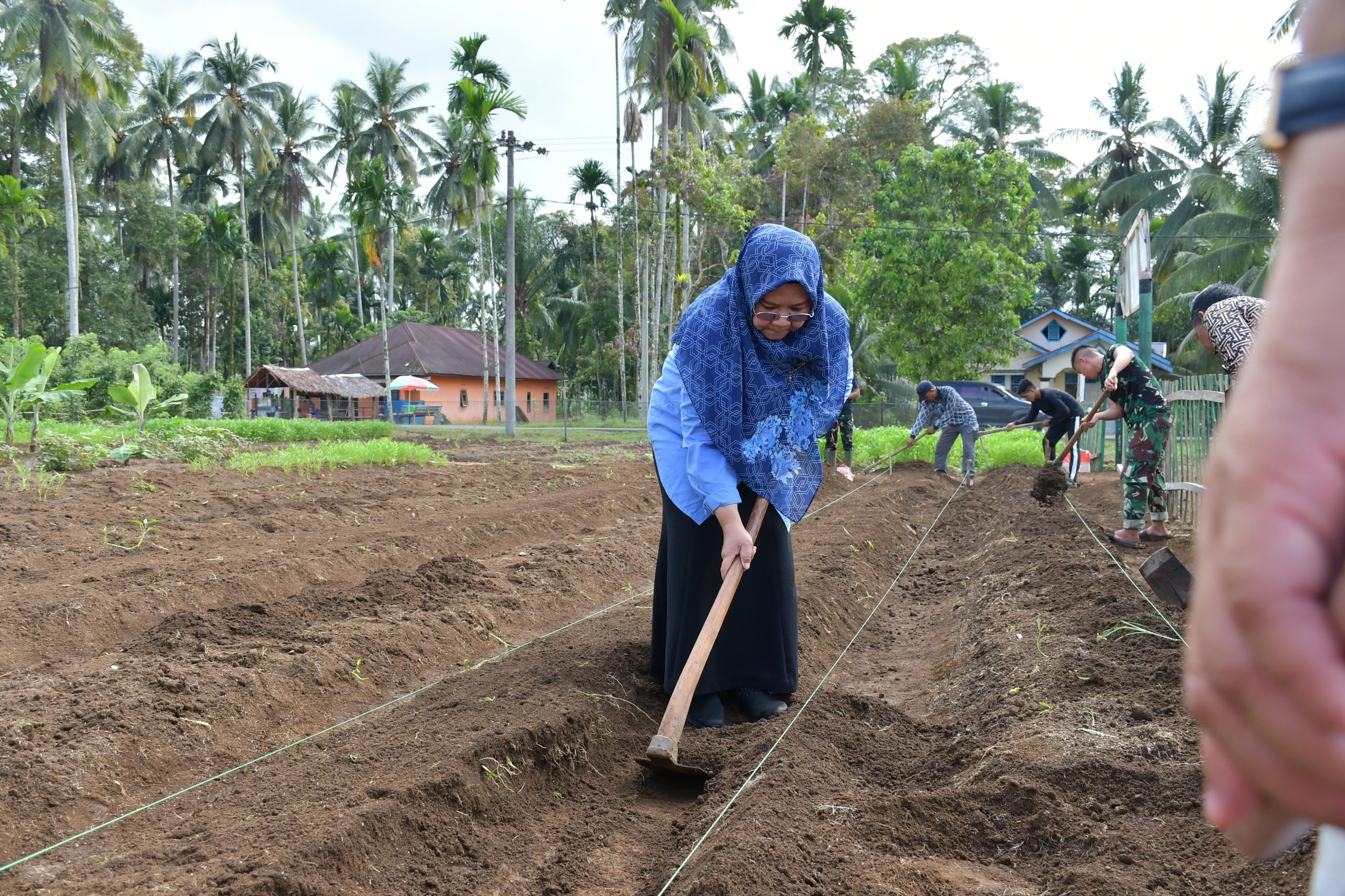 ketua-tp-pkk-agam-kembali-tinjau-pengembangan-lahan-pertanian-yonif-tp-897-singgalang