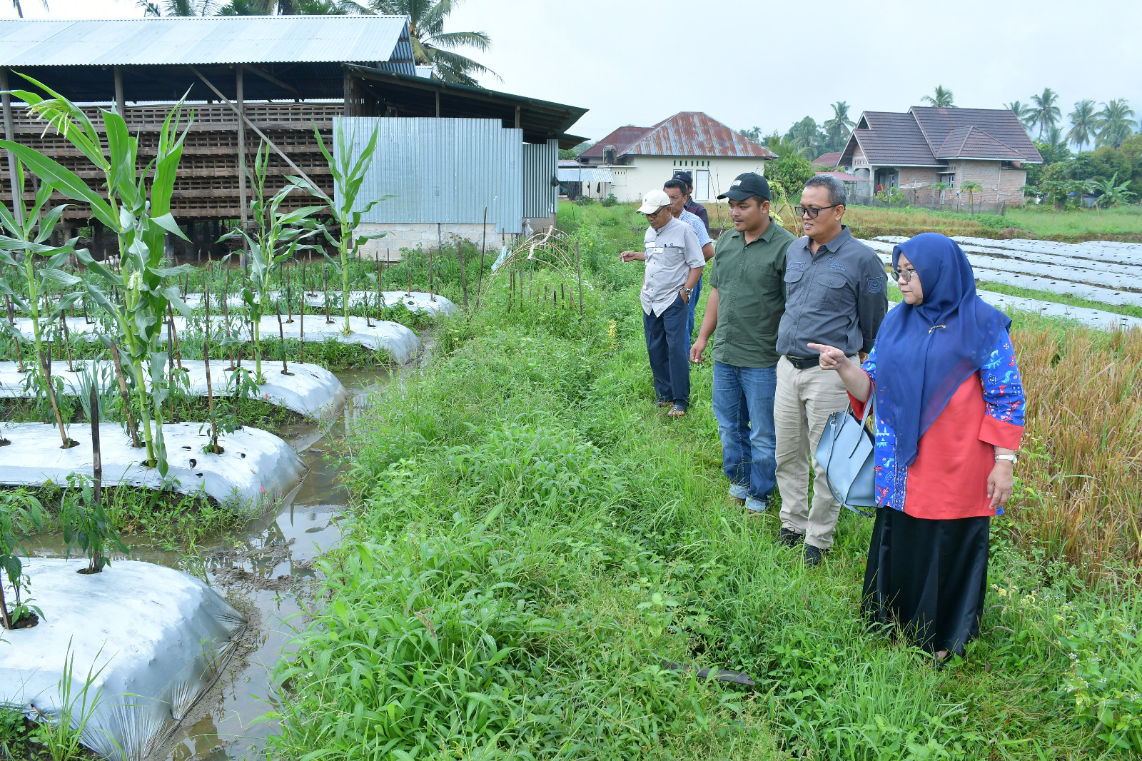ketua-tp-pkk-agam-pelajari-pengembangan-ketahanan-pangan-di-sta-koba-jaya-payakumbuh