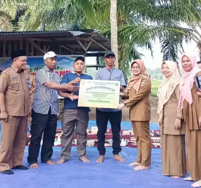 pemkab-dharmasraya-salurkan-12,5-ton-benih-padi-biofortifikasi-untuk-petani
