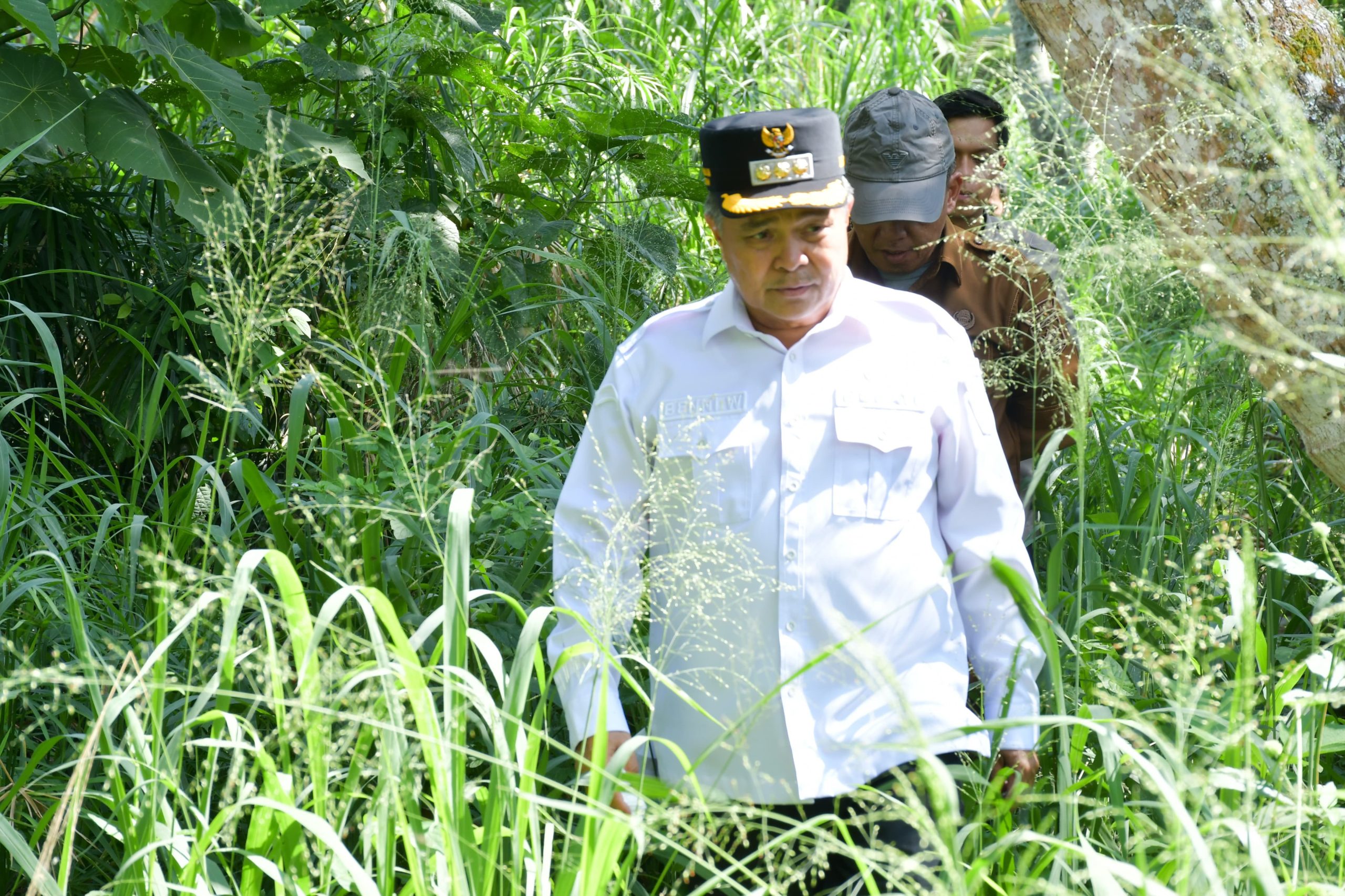 bupati-agam-tinjau-dam-irigasi-sungai-angek,-perkuat-ketahanan-pertanian-hadapi-anomali-iklim