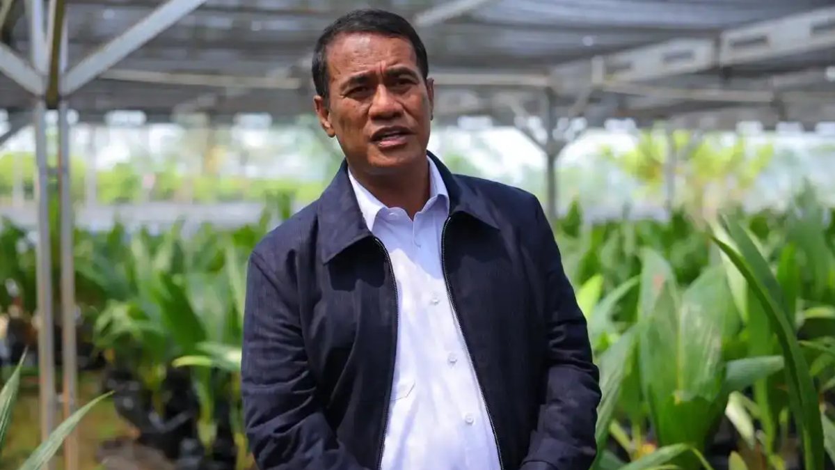 Menteri Pertanian Amran Sulaiman meninjau panen padi untuk mendukung peningkatan produksi beras nasional tahun 2026.